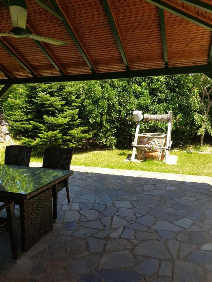 Lemon Flowers Apartments Неа-Скіоні Екстер'єр фото
